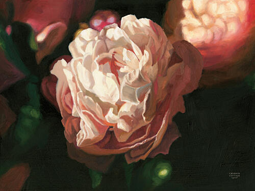 Pink Peony Bloom Art Print by Crimson Cottage