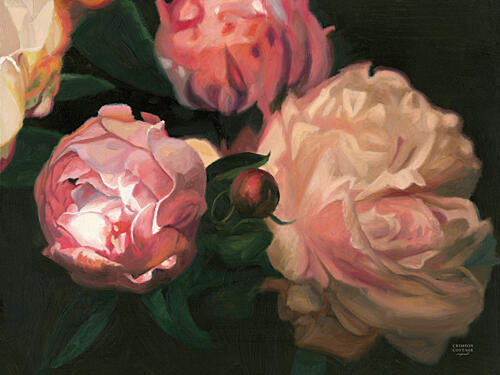 Peonies in Bloom Art Print by Crimson Cottage