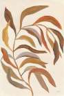 Terra Botanica Il Art Deco Print