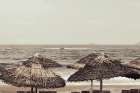 Beach Chairs III Art Print
