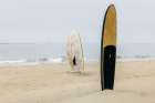 Long Boards I Modern Print