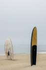 Long Boards II Modern Print