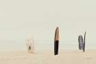 Long Boards IV Minimalist Print