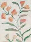 Blush Blooms Art Print