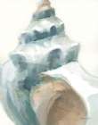 Timeless Conch Art Deco Print