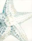 Timeless Starfish Art Deco Print