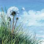 Spring Breeze Art Print