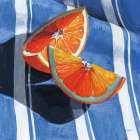 Citrus Glow Art Deco Print