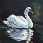Gliding Art Print