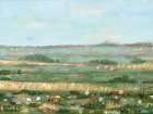 Flowers in the Hayfield Art Print