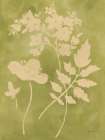 Sun Shadow Stems I Art Deco Print