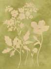 Sun Shadow Stems II Art Print