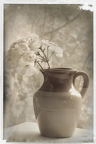 Cruche Et Hortensias Art Print