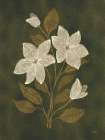 Deep Blooms I Art Print