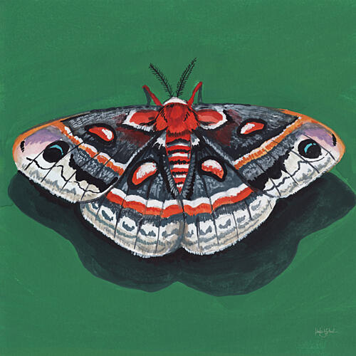 Cecropia Moth Art Print by Morgan Birch