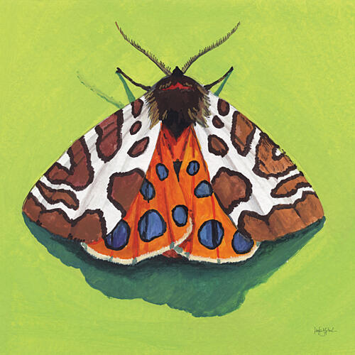 Tiger Moth Art Print by Kate Jarvik Birch