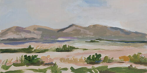 Desert Wandering Art Print