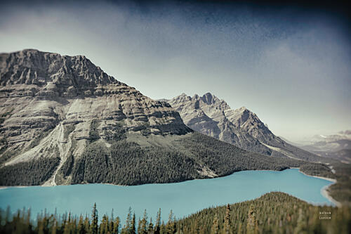 Peyto Lake Montagne reproduction