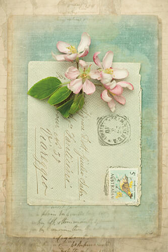 Poets Garden I Art Print