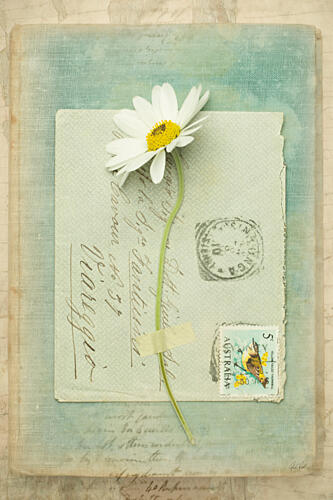 Poets Garden IV Art Print