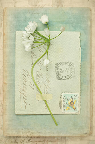 Poets Garden V Art Print