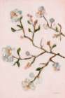 Blooms of April II Art Deco Print
