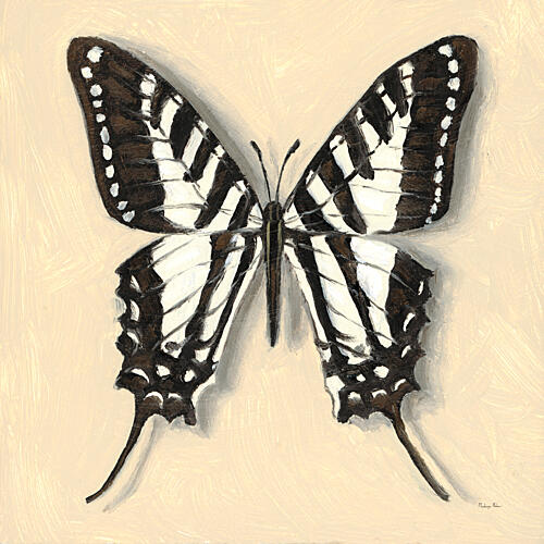 Spot Swordtail Butterfly Art Print