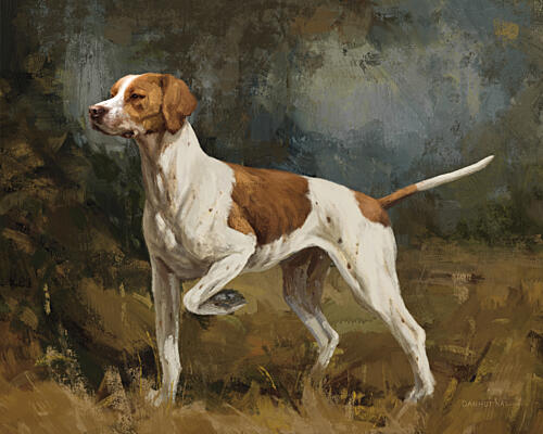 Hunting Dog Portrait II Art Print