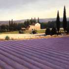 Lavender Fields II Crop Art Print