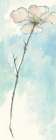 Solitary Dogwood I