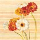 Dancing Gerberas on Stripes Art Print