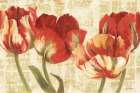Spring Tulips Art Print
