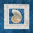 Sea Shell II on Blue  Art Print