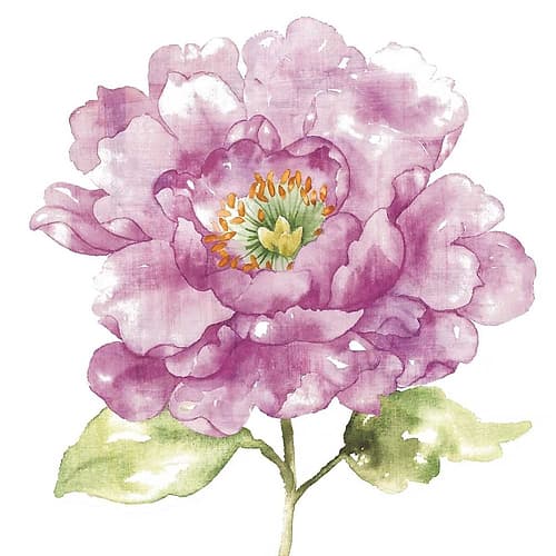 Water Flower I Art Print