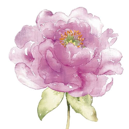 Water Flower II Art Print
