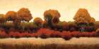 Autumn Forest III Art Print