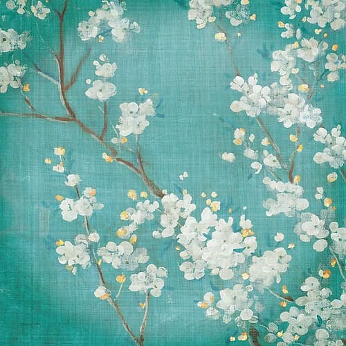 White Cherry Blossoms II Art Print