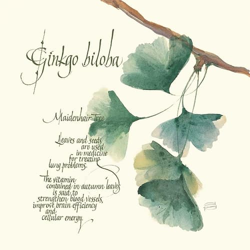 Ginkgo Biloba Coastal Print