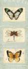 Mothers Treasure IV Butterfly Panel Art Print
