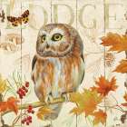 Owl Lodge II Art Print