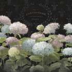 La Belle Jardiniere Crop Art Print