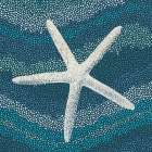 Sea Glass IV Art Print