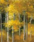 Golden Birches
