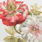 Romantic Afternoon Light Square I Art Print