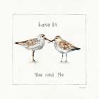 Pebbles and Sandpipers II