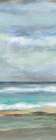 Seashore III Art Print