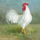 Noble Rooster I Art Print