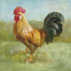 Noble Rooster II Art Print