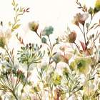 Transparent Garden Warm Art Print