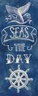 Seas the Day